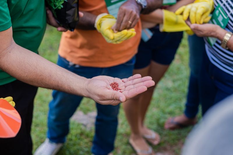 Crédito: CECOM Benevides