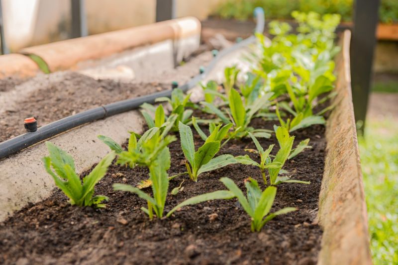 Crédito: CECOM Benevides