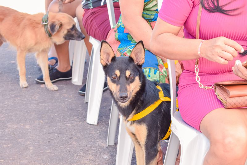  <div class='credito_fotos'>Foto: Karla Reis &nbsp;&nbsp;|&nbsp;&nbsp; <a href='/midias/2023/originais/7591_8cbd5c86-52ae-c78d-3b52-3ef8c7aadb61.jpg' download><i class='fa-solid fa-download'></i> Download</a></div>