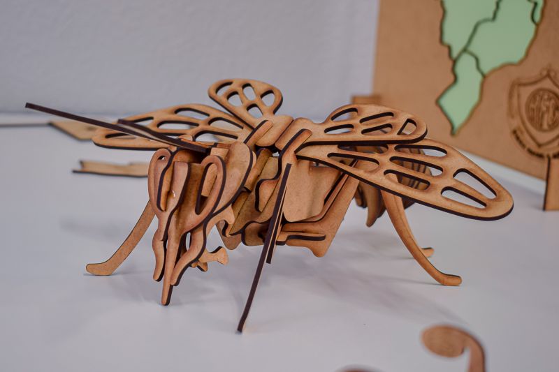  <div class='credito_fotos'>Foto: Karla Reis &nbsp;&nbsp;|&nbsp;&nbsp; <a href='/midias/2023/originais/7655_04a3f5b9-389e-7c58-e020-03c2e7a430a3.jpg' download><i class='fa-solid fa-download'></i> Download</a></div>