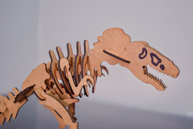  <div class='credito_fotos'>Foto: Karla Reis &nbsp;&nbsp;|&nbsp;&nbsp; <a href='/midias/2023/originais/7655_56d350e8-151e-1872-18ec-2415df9b48e7.jpg' download><i class='fa-solid fa-download'></i> Download</a></div>