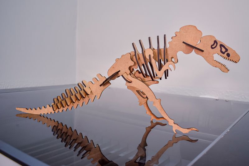  <div class='credito_fotos'>Foto: Karla Reis &nbsp;&nbsp;|&nbsp;&nbsp; <a href='/midias/2023/originais/7655_603afbaa-0271-6420-bee5-1aa434f4c02f.jpg' download><i class='fa-solid fa-download'></i> Download</a></div>