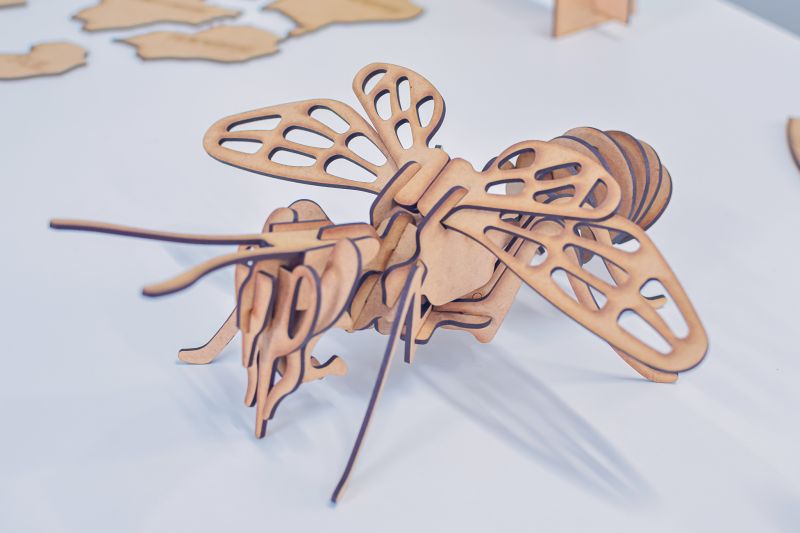  <div class='credito_fotos'>Foto: Karla Reis &nbsp;&nbsp;|&nbsp;&nbsp; <a href='/midias/2023/originais/7655_b36d412f-90b4-1af6-23cf-76a348808507.jpg' download><i class='fa-solid fa-download'></i> Download</a></div>