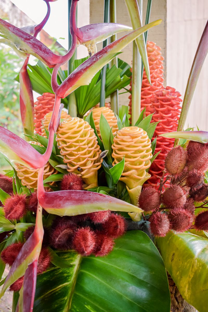  <div class='credito_fotos'>Foto: Karla Reis &nbsp;&nbsp;|&nbsp;&nbsp; <a href='/midias/2023/originais/7679_00b1c852-5cf5-f2af-15d1-8e753e21999c.jpg' download><i class='fa-solid fa-download'></i> Download</a></div>