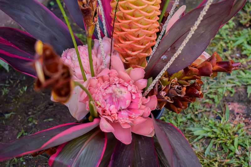  <div class='credito_fotos'>Foto: Karla Reis &nbsp;&nbsp;|&nbsp;&nbsp; <a href='/midias/2023/originais/7679_0c08ebe9-d516-f185-bbca-6f271207b4b1.jpg' download><i class='fa-solid fa-download'></i> Download</a></div>