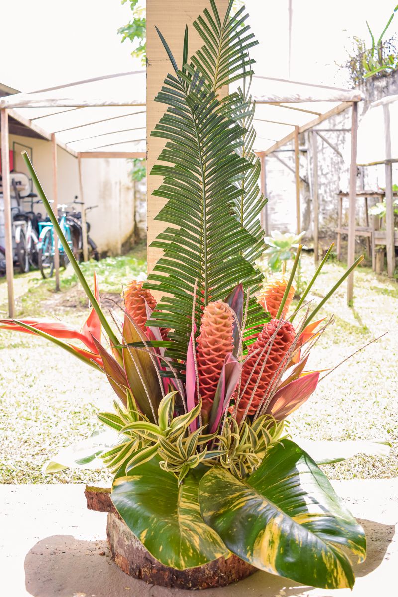  <div class='credito_fotos'>Foto: Karla Reis &nbsp;&nbsp;|&nbsp;&nbsp; <a href='/midias/2023/originais/7679_468e1e5d-b347-1fd6-d7e7-4a0855eae0b7.jpg' download><i class='fa-solid fa-download'></i> Download</a></div>