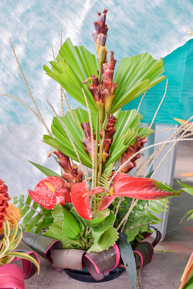  <div class='credito_fotos'>Foto: Karla Reis &nbsp;&nbsp;|&nbsp;&nbsp; <a href='/midias/2023/originais/7679_50e272b3-ada0-a8ad-190c-0b5813857a5d.jpg' download><i class='fa-solid fa-download'></i> Download</a></div>