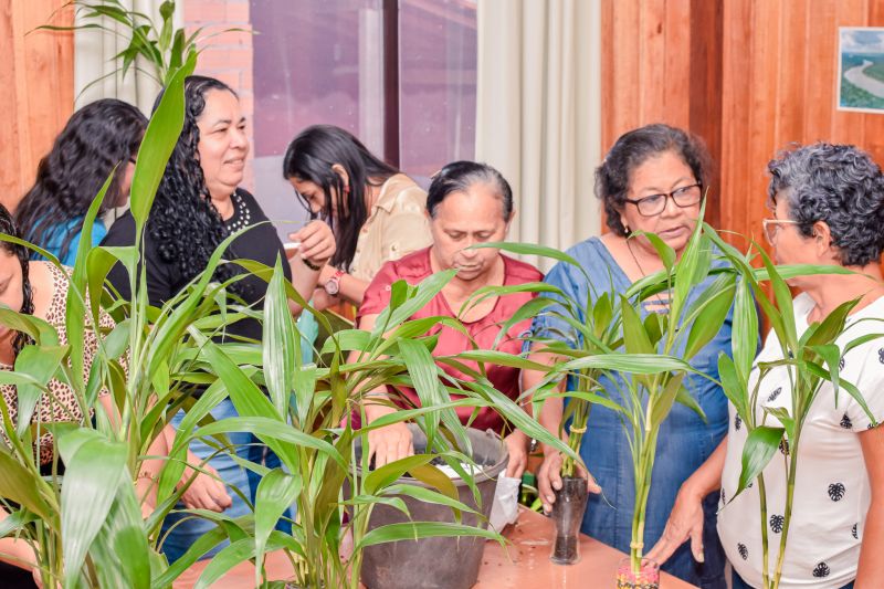  <div class='credito_fotos'>Foto: Karla Reis &nbsp;&nbsp;|&nbsp;&nbsp; <a href='/midias/2023/originais/7679_54f54e7e-b513-a650-10d3-b739fdf2bff5.jpg' download><i class='fa-solid fa-download'></i> Download</a></div>