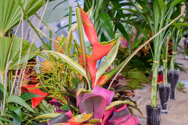  <div class='credito_fotos'>Foto: Karla Reis &nbsp;&nbsp;|&nbsp;&nbsp; <a href='/midias/2023/originais/7679_e67b89b4-55db-d339-185f-eb390f05075d.jpg' download><i class='fa-solid fa-download'></i> Download</a></div>