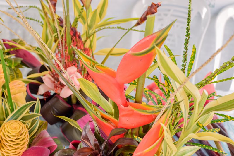  <div class='credito_fotos'>Foto: Karla Reis &nbsp;&nbsp;|&nbsp;&nbsp; <a href='/midias/2023/originais/7679_f4321e75-25c0-b34e-551b-9268b7bd7ffc.jpg' download><i class='fa-solid fa-download'></i> Download</a></div>