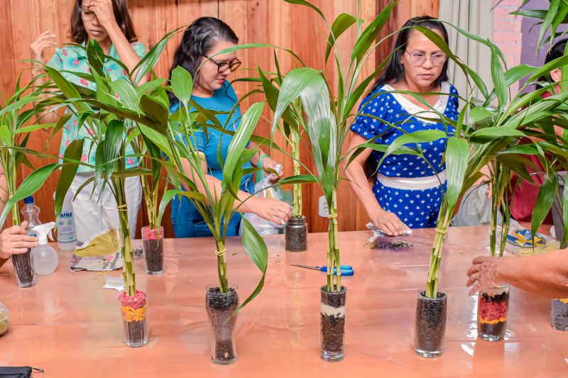  <div class='credito_fotos'>Foto: Karla Reis &nbsp;&nbsp;|&nbsp;&nbsp; <a href='/midias/2023/originais/7679_f83f4479-ba83-1bed-9d9a-af70a89abaaa.jpg' download><i class='fa-solid fa-download'></i> Download</a></div>