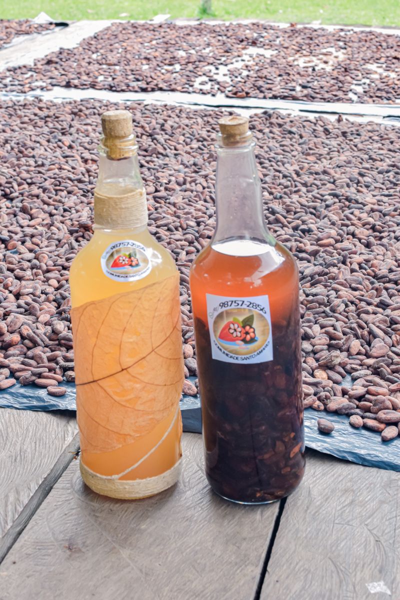  <div class='credito_fotos'>Foto: Karla Reis &nbsp;&nbsp;|&nbsp;&nbsp; <a href='/midias/2023/originais/7680_09ab9826-eb09-2169-10d5-0ba3409dfc46.jpg' download><i class='fa-solid fa-download'></i> Download</a></div>