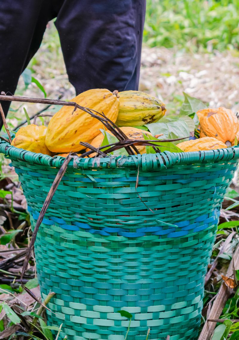  <div class='credito_fotos'>Foto: Karla Reis &nbsp;&nbsp;|&nbsp;&nbsp; <a href='/midias/2023/originais/7680_8053669b-6b2a-588c-2236-19cfbd124828.jpg' download><i class='fa-solid fa-download'></i> Download</a></div>