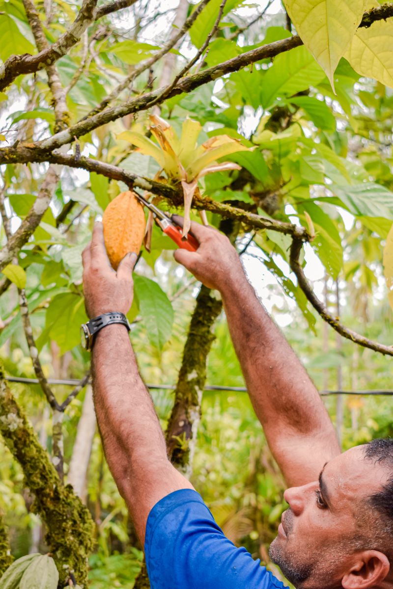  <div class='credito_fotos'>Foto: Karla Reis &nbsp;&nbsp;|&nbsp;&nbsp; <a href='/midias/2023/originais/7680_869458c2-1fa5-fc3c-d12a-17a0fd9c1bb2.jpg' download><i class='fa-solid fa-download'></i> Download</a></div>