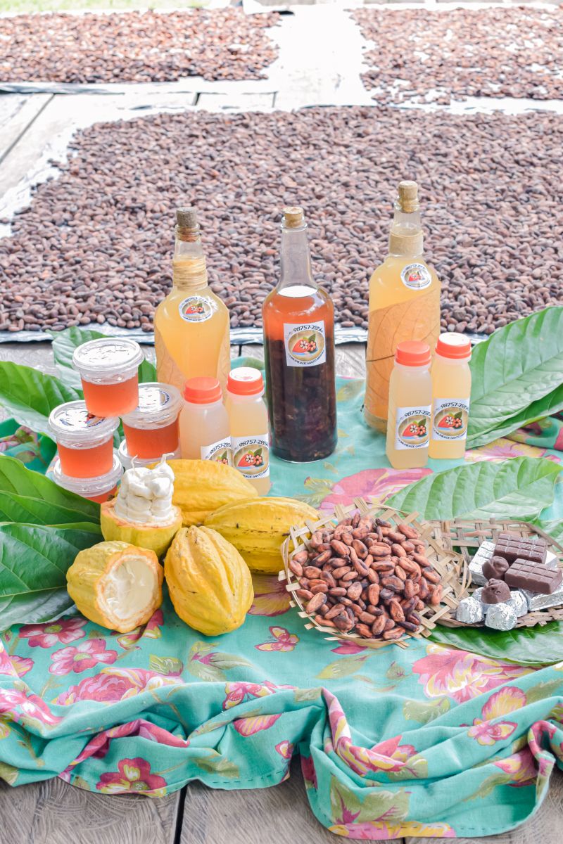  <div class='credito_fotos'>Foto: Karla Reis &nbsp;&nbsp;|&nbsp;&nbsp; <a href='/midias/2023/originais/7680_8fecd59f-d65b-4b32-b936-ff64128e03b2.jpg' download><i class='fa-solid fa-download'></i> Download</a></div>