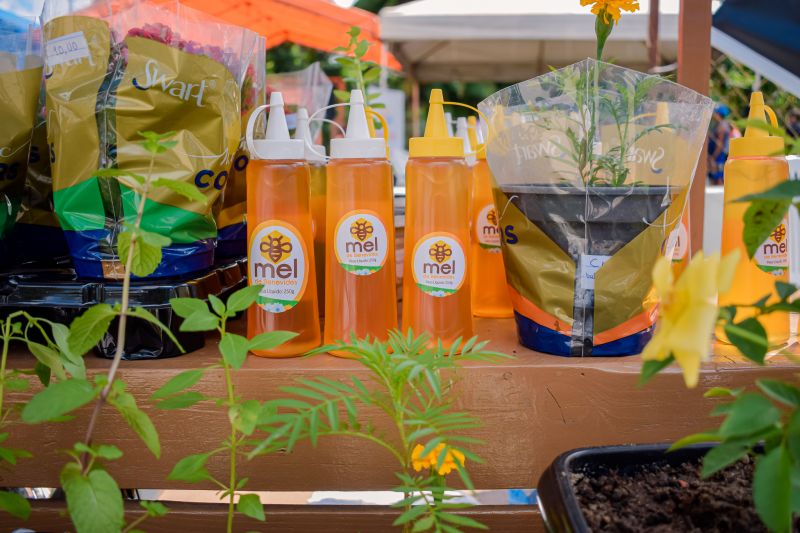  <div class='credito_fotos'>Foto: Karla Reis &nbsp;&nbsp;|&nbsp;&nbsp; <a href='/midias/2023/originais/7682_5f9612e3-7f07-dc93-4039-cc9feca9b0ab.jpg' download><i class='fa-solid fa-download'></i> Download</a></div>