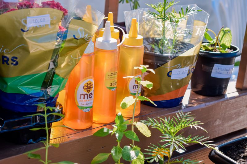  <div class='credito_fotos'>Foto: Karla Reis &nbsp;&nbsp;|&nbsp;&nbsp; <a href='/midias/2023/originais/7682_74f8cce3-fb3b-9001-7d74-ca26cc0fd792.jpg' download><i class='fa-solid fa-download'></i> Download</a></div>