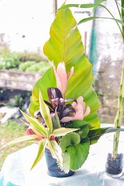 galeria: CERTIFICAÇÃO DE ARRANJOS FLORAIS