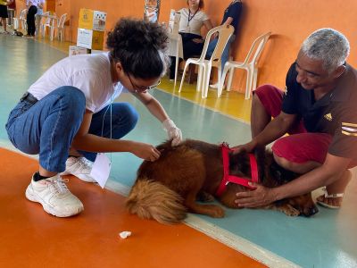 notícia: Prefeitura apoia a realização do 1º Petday de Benevides