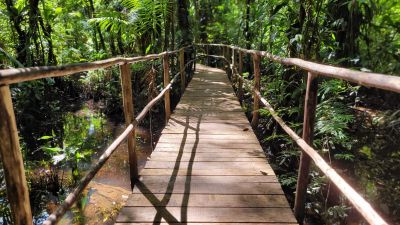 notícia: Prefeitura de Benevides investe no ecoturismo