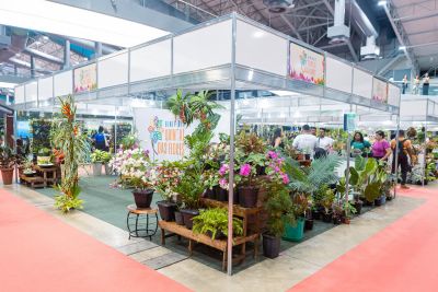 notícia: Benevides brilha no Flor Pará e Chocolat Amazônia 2023