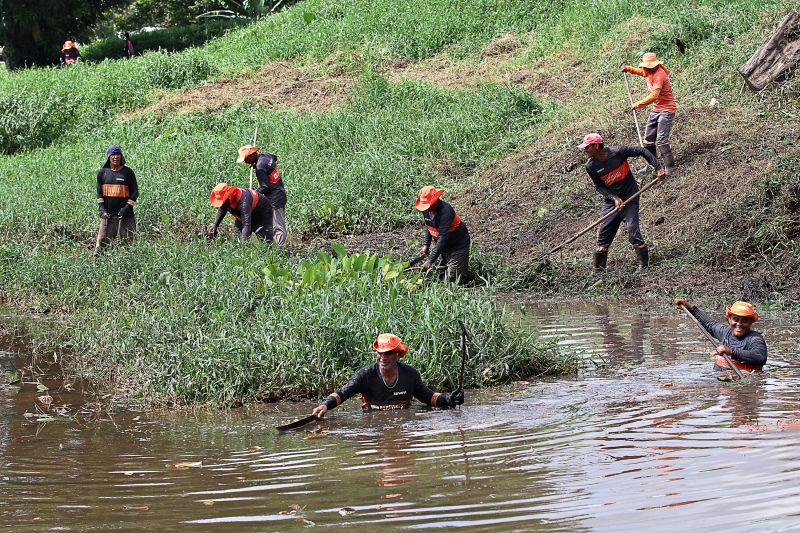 LIMPEZA DO IGARAPÉ QUEBRA GALHO <div class='credito_fotos'>Foto: Márcio Souza &nbsp;&nbsp;|&nbsp;&nbsp; <a href='/midias/2024/originais/7745_66845d9c-29db-885a-acc1-43b3861615d8.jpg' download><i class='fa-solid fa-download'></i> Download</a></div>