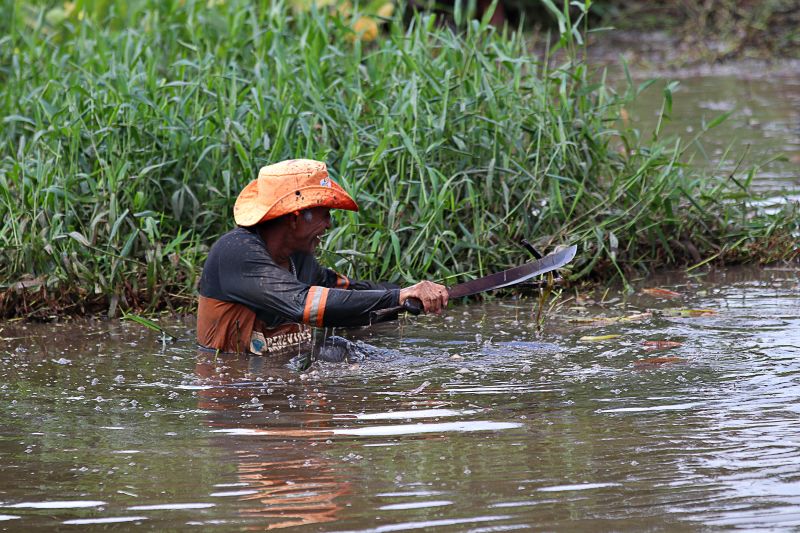 LIMPEZA DO IGARAPÉ QUEBRA GALHO <div class='credito_fotos'>Foto: Márcio Souza &nbsp;&nbsp;|&nbsp;&nbsp; <a href='/midias/2024/originais/7745_bbfb6c6f-4c8c-7676-61e1-880e5404c86b.jpg' download><i class='fa-solid fa-download'></i> Download</a></div>