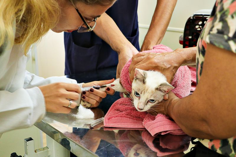  <div class='credito_fotos'>Foto: Márcio Souza &nbsp;&nbsp;|&nbsp;&nbsp; <a href='/midias/2024/originais/7750_210f4121-9e50-bb21-f4c3-11a4174cc087.jpg' download><i class='fa-solid fa-download'></i> Download</a></div>