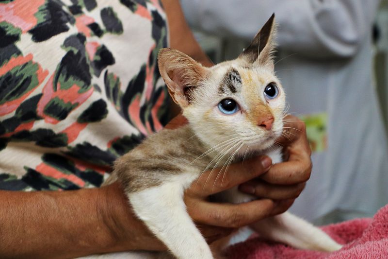  <div class='credito_fotos'>Foto: Márcio Souza &nbsp;&nbsp;|&nbsp;&nbsp; <a href='/midias/2024/originais/7750_f5eb8efd-b0dd-1c91-796a-3d213223c4d3.jpg' download><i class='fa-solid fa-download'></i> Download</a></div>