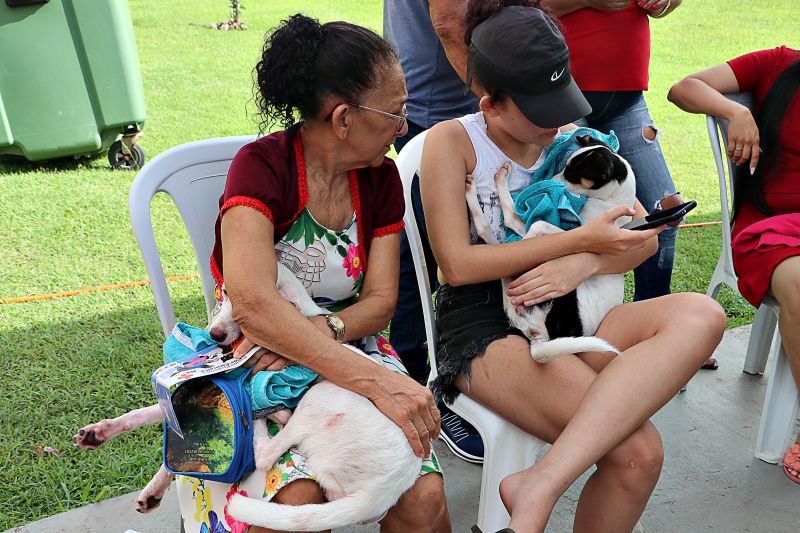 Ação Castra Móvel St Dumont 2 <div class='credito_fotos'>Foto: Márcio Souza &nbsp;&nbsp;|&nbsp;&nbsp; <a href='/midias/2024/originais/7755_74468b60-a890-87bf-2904-380586d5cdbf.jpg' download><i class='fa-solid fa-download'></i> Download</a></div>