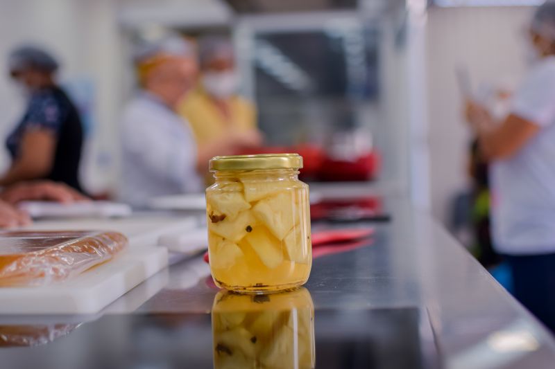  <div class='credito_fotos'>Foto: Karla Reis &nbsp;&nbsp;|&nbsp;&nbsp; <a href='/midias/2024/originais/7767_b19f59f1-bed4-6ef2-e3b2-3ae312cf15cd.jpg' download><i class='fa-solid fa-download'></i> Download</a></div>