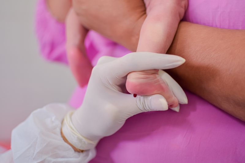  <div class='credito_fotos'>Foto: Karla Reis &nbsp;&nbsp;|&nbsp;&nbsp; <a href='/midias/2024/originais/7780_47624771-99ec-aa6b-ac99-1738d1940a08.jpg' download><i class='fa-solid fa-download'></i> Download</a></div>