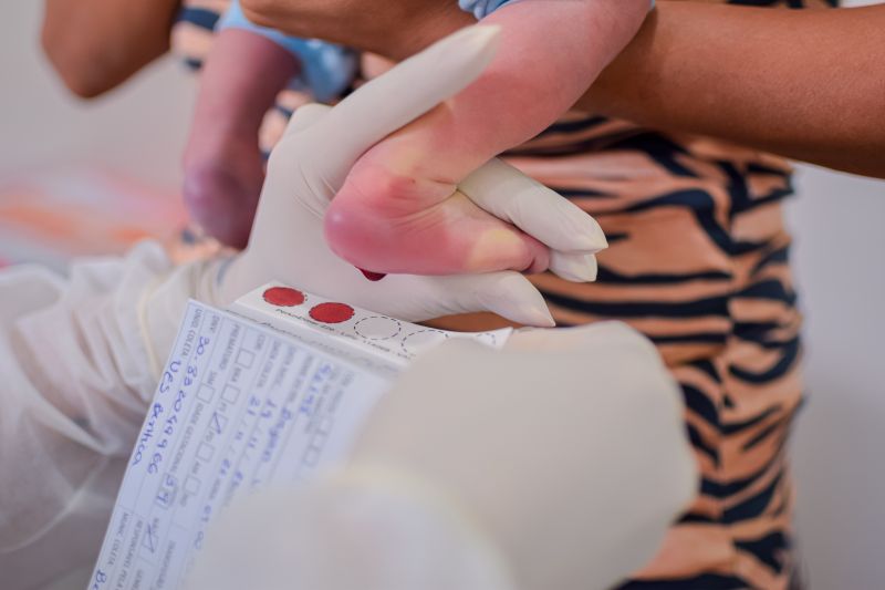  <div class='credito_fotos'>Foto: Karla Reis &nbsp;&nbsp;|&nbsp;&nbsp; <a href='/midias/2024/originais/7780_64ff2628-c101-85e0-4504-eafe1da4b225.jpg' download><i class='fa-solid fa-download'></i> Download</a></div>