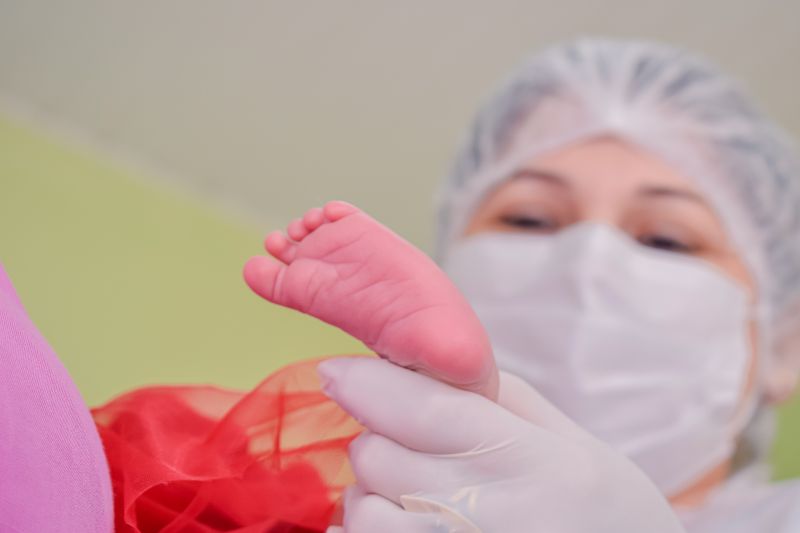  <div class='credito_fotos'>Foto: Karla Reis &nbsp;&nbsp;|&nbsp;&nbsp; <a href='/midias/2024/originais/7780_91fc1bd5-4f91-ba33-b5e9-43f0a5b2fbdc.jpg' download><i class='fa-solid fa-download'></i> Download</a></div>