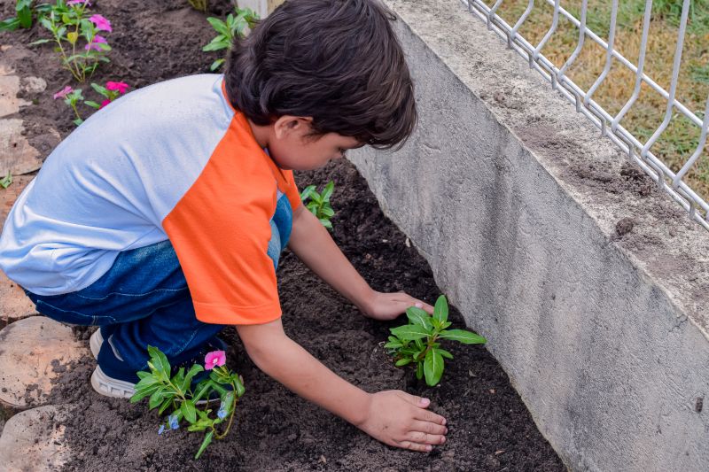  <div class='credito_fotos'>Foto: Karla Reis &nbsp;&nbsp;|&nbsp;&nbsp; <a href='/midias/2024/originais/7782_0c3d9c0d-be65-cc5a-f253-6917c7dc0f35.jpg' download><i class='fa-solid fa-download'></i> Download</a></div>