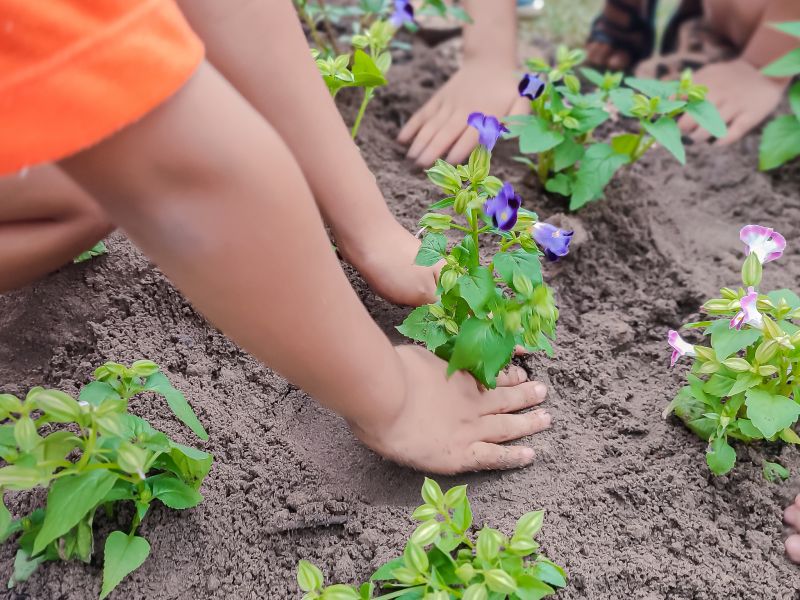  <div class='credito_fotos'>Foto: Karla Reis &nbsp;&nbsp;|&nbsp;&nbsp; <a href='/midias/2024/originais/7782_250ea247-c1de-6155-743e-08e4f6ba2dcf.jpg' download><i class='fa-solid fa-download'></i> Download</a></div>