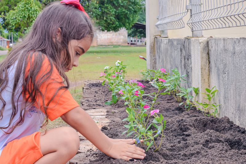  <div class='credito_fotos'>Foto: Karla Reis &nbsp;&nbsp;|&nbsp;&nbsp; <a href='/midias/2024/originais/7782_3c6dd8f7-1703-c4a8-dca1-36a09b3eac2e.jpg' download><i class='fa-solid fa-download'></i> Download</a></div>