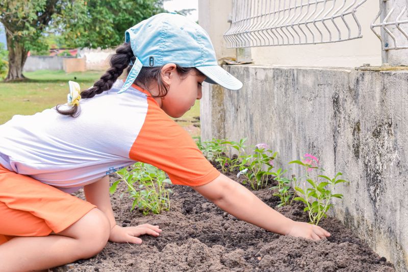  <div class='credito_fotos'>Foto: Karla Reis &nbsp;&nbsp;|&nbsp;&nbsp; <a href='/midias/2024/originais/7782_786a969e-1d39-3dad-0b03-6925a4fa5849.jpg' download><i class='fa-solid fa-download'></i> Download</a></div>