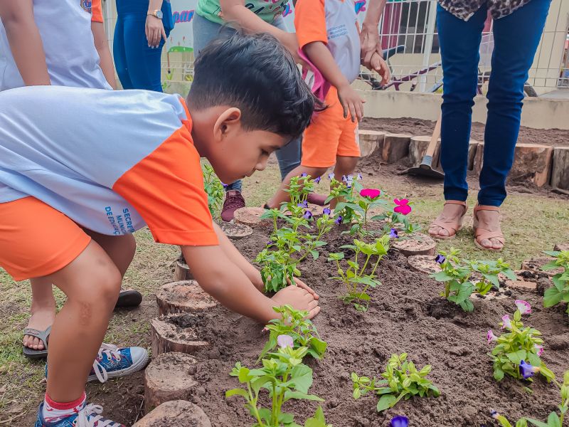  <div class='credito_fotos'>Foto: Karla Reis &nbsp;&nbsp;|&nbsp;&nbsp; <a href='/midias/2024/originais/7782_989f0e07-dc2b-9bd8-77c2-0efffe6cd610.jpg' download><i class='fa-solid fa-download'></i> Download</a></div>