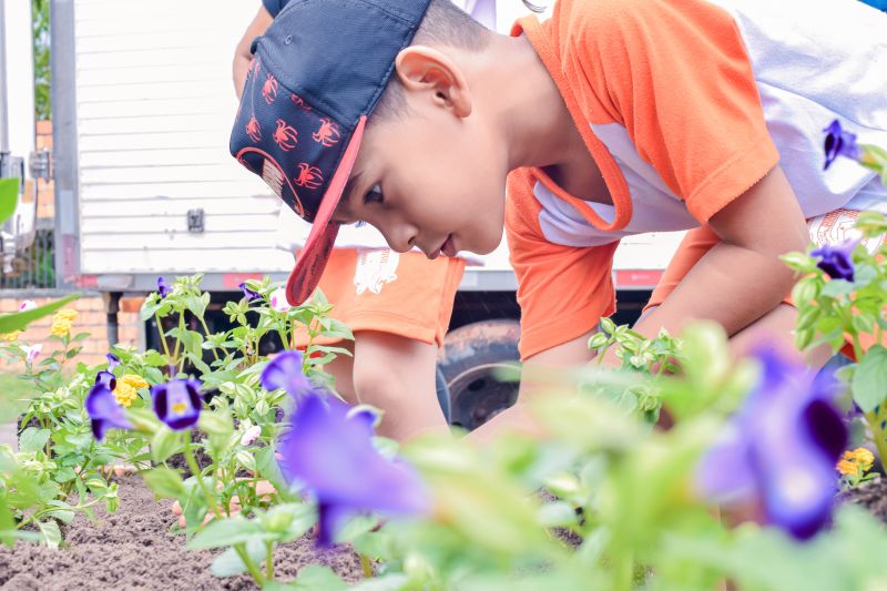  <div class='credito_fotos'>Foto: Karla Reis &nbsp;&nbsp;|&nbsp;&nbsp; <a href='/midias/2024/originais/7782_b4f3f5f2-a35b-cccb-61fe-cab2b1783a4b.jpg' download><i class='fa-solid fa-download'></i> Download</a></div>