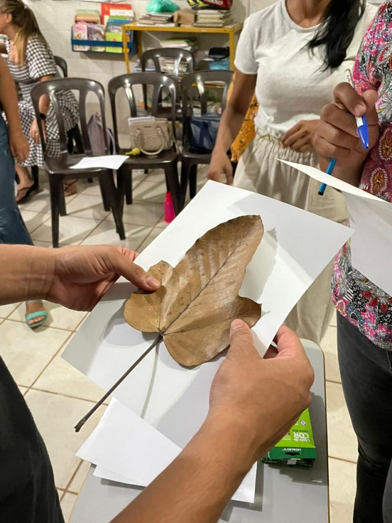 Crédito: Belisa Nunes