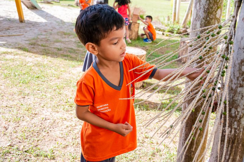  <div class='credito_fotos'>Foto: Karla Reis &nbsp;&nbsp;|&nbsp;&nbsp; <a href='/midias/2024/originais/7807_1830d825-e91c-9b0a-b500-8ec9ce5d1692.jpg' download><i class='fa-solid fa-download'></i> Download</a></div>