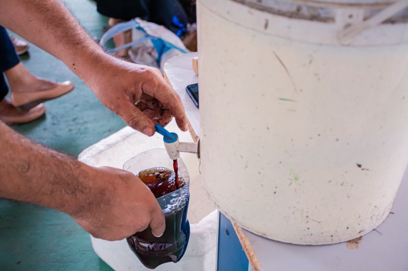  <div class='credito_fotos'>Foto: Karla Reis &nbsp;&nbsp;|&nbsp;&nbsp; <a href='/midias/2024/originais/7810_082976fe-874e-c318-d458-55febb4faba8.jpg' download><i class='fa-solid fa-download'></i> Download</a></div>