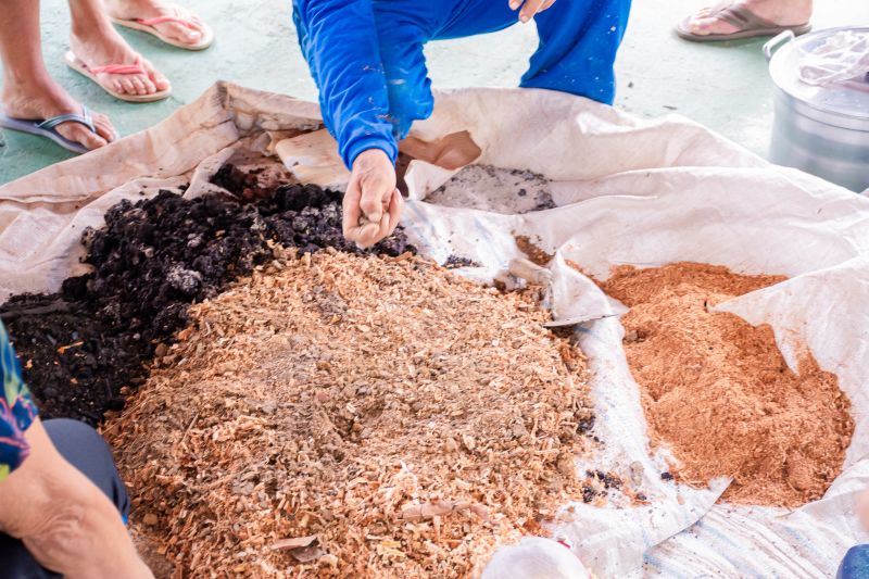  <div class='credito_fotos'>Foto: Karla Reis &nbsp;&nbsp;|&nbsp;&nbsp; <a href='/midias/2024/originais/7810_b845d396-4fc3-8c51-4f83-0d6f1367fd0d.jpg' download><i class='fa-solid fa-download'></i> Download</a></div>