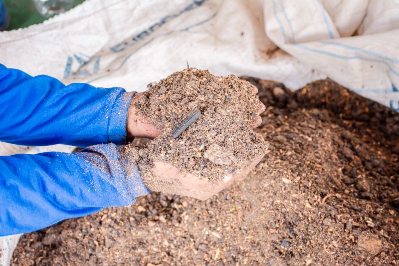  <div class='credito_fotos'>Foto: Karla Reis &nbsp;&nbsp;|&nbsp;&nbsp; <a href='/midias/2024/originais/7810_cabbacb3-a4bb-6cd1-2d45-a427a50a24c6.jpg' download><i class='fa-solid fa-download'></i> Download</a></div>