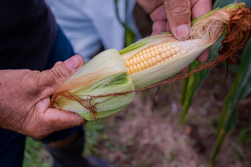  <div class='credito_fotos'>Foto: Karla Reis &nbsp;&nbsp;|&nbsp;&nbsp; <a href='/midias/2024/originais/7815_72eb7def-65f3-a9b4-acd4-c19ef2f07415.jpg' download><i class='fa-solid fa-download'></i> Download</a></div>