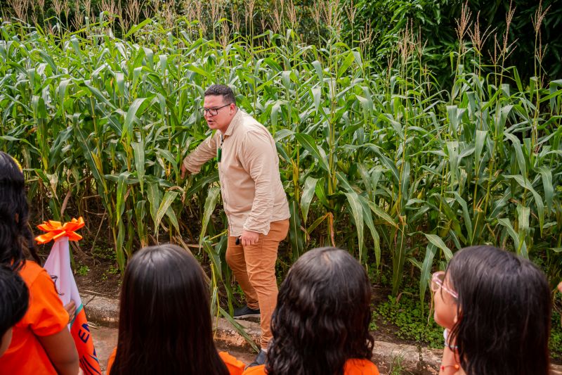  <div class='credito_fotos'>Foto: Karla Reis &nbsp;&nbsp;|&nbsp;&nbsp; <a href='/midias/2024/originais/7818_5d57e8db-fe65-00ae-8a84-8d4da8b9b1ff.jpg' download><i class='fa-solid fa-download'></i> Download</a></div>