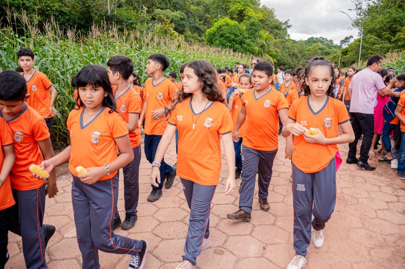  <div class='credito_fotos'>Foto: Karla Reis &nbsp;&nbsp;|&nbsp;&nbsp; <a href='/midias/2024/originais/7818_5d6ce6db-ed2d-3e7a-0a2d-f88c722533e9.jpg' download><i class='fa-solid fa-download'></i> Download</a></div>