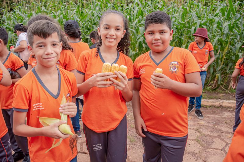  <div class='credito_fotos'>Foto: Karla Reis &nbsp;&nbsp;|&nbsp;&nbsp; <a href='/midias/2024/originais/7818_60461e8a-4919-4a47-116d-7c8ac5cc0acd.jpg' download><i class='fa-solid fa-download'></i> Download</a></div>