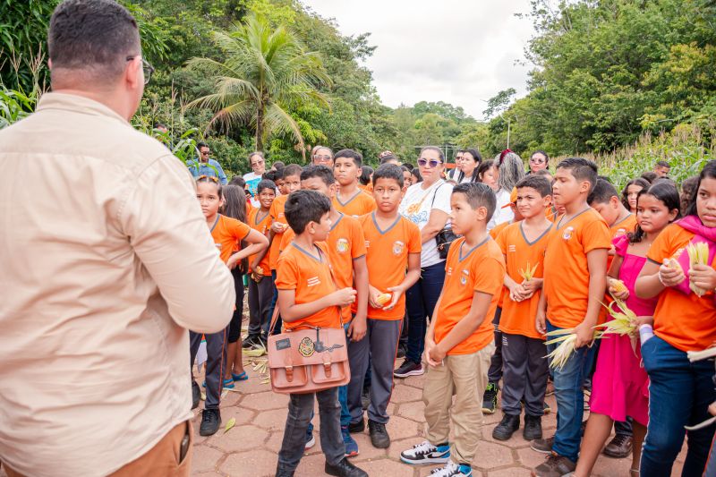  <div class='credito_fotos'>Foto: Karla Reis &nbsp;&nbsp;|&nbsp;&nbsp; <a href='/midias/2024/originais/7818_7e816ec6-9081-3837-3f68-d8f4e05a155b.jpg' download><i class='fa-solid fa-download'></i> Download</a></div>